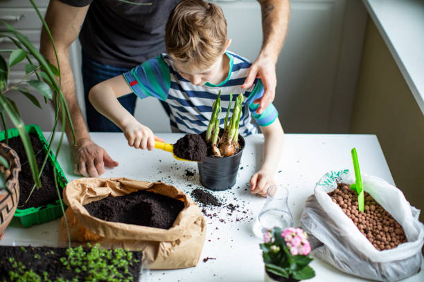 istock Father and son planting at home 1139512977