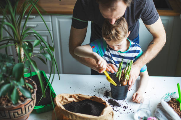 istock Father and son planting at home 1139512992