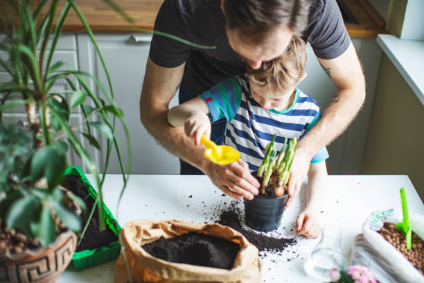 istock Father and son planting at home 1139513006