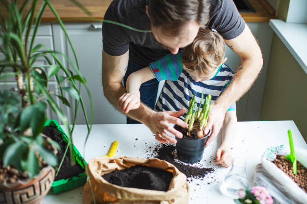 istock Father and son planting at home 1139513009