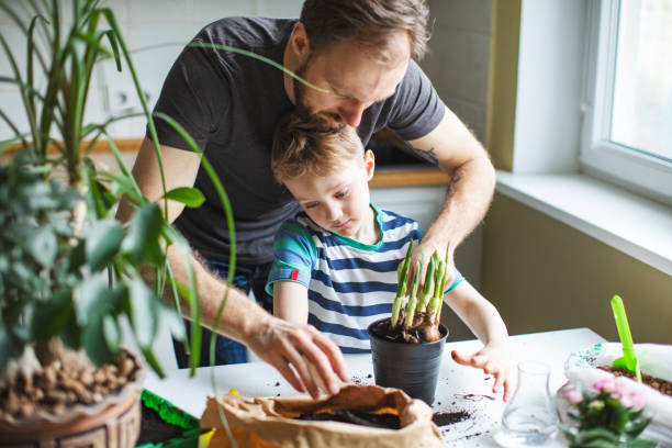 istock Father and son planting at home 1139513020