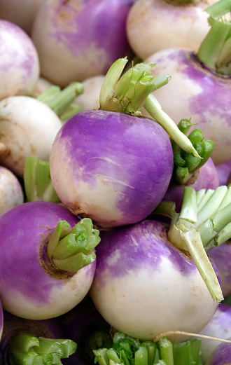 Fresh, natural turnips for sale at a farmers' market