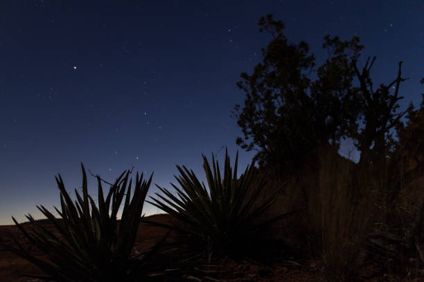 Desert at Night stock photo