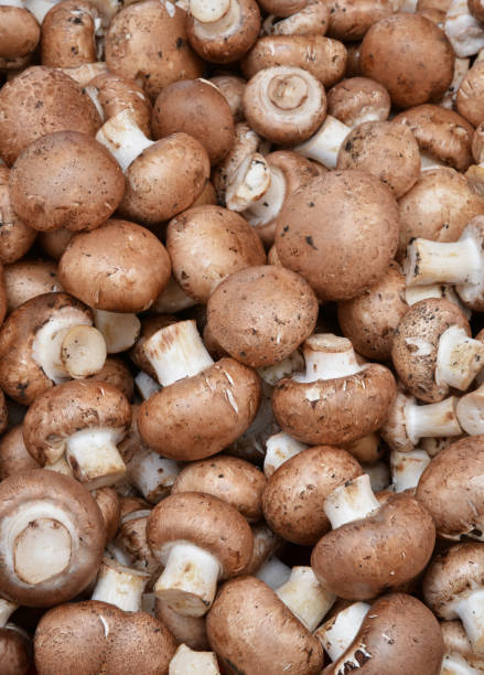 istock mushrooms and vegetables 1139524923