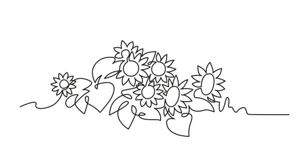 ilustraciones, imágenes clip art, dibujos animados e iconos de stock de el dibujo vectorial continuo de una línea de girasoles - blom
