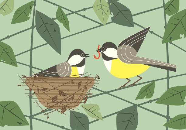 chickadee птиц в гнезде плоский плакат - birdhouse animal nest bird tree stock illustrations