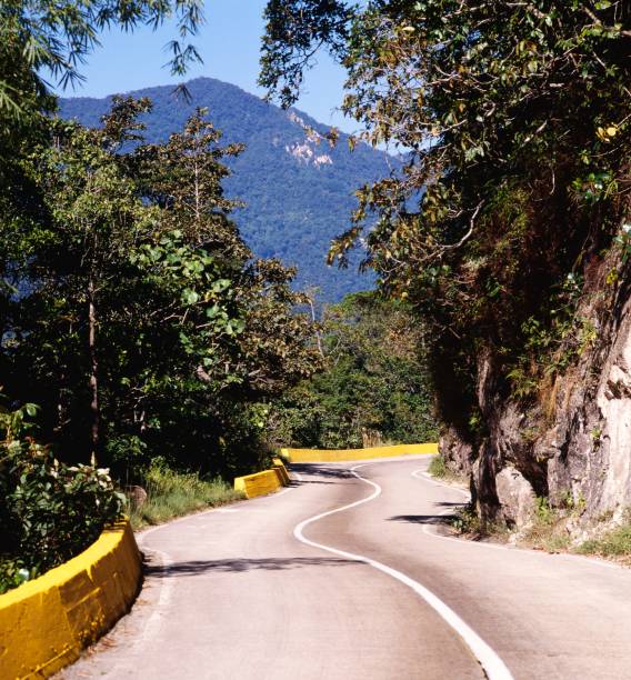 istock Highway crossing tropical jungle 1139527868