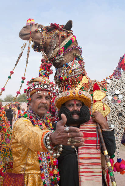 인도 라자 스 탄에서 비카 네 르 카멜 페스티벌 - pushkar camel fair 뉴스 사진 이미지