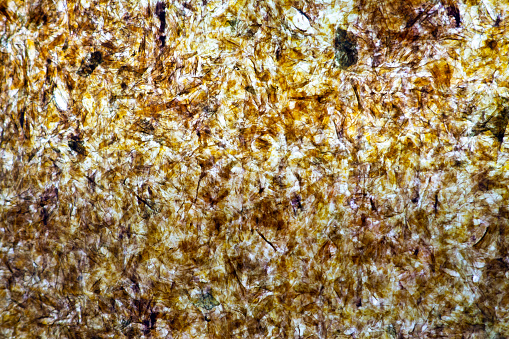 sheet of a nori seaweed, abstract textured background