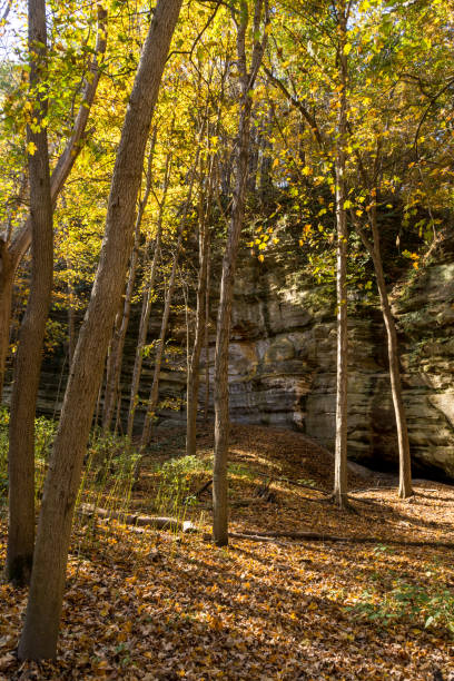 istock Starved Rock in the fall season. 1139530033