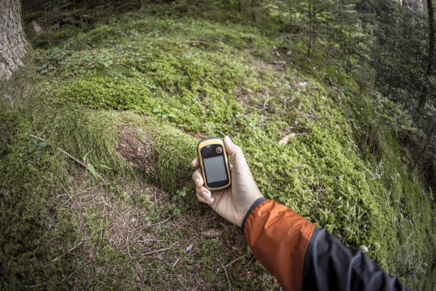 istock A trekker using gps among the forest in a cloudy day 1139530073