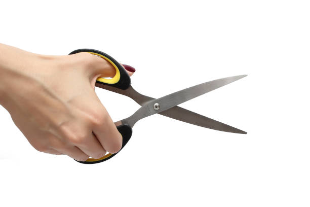 istock Female hand holding scissors on white background 1139530610
