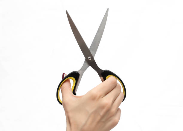 istock Female hand holding scissors on white background 1139530678