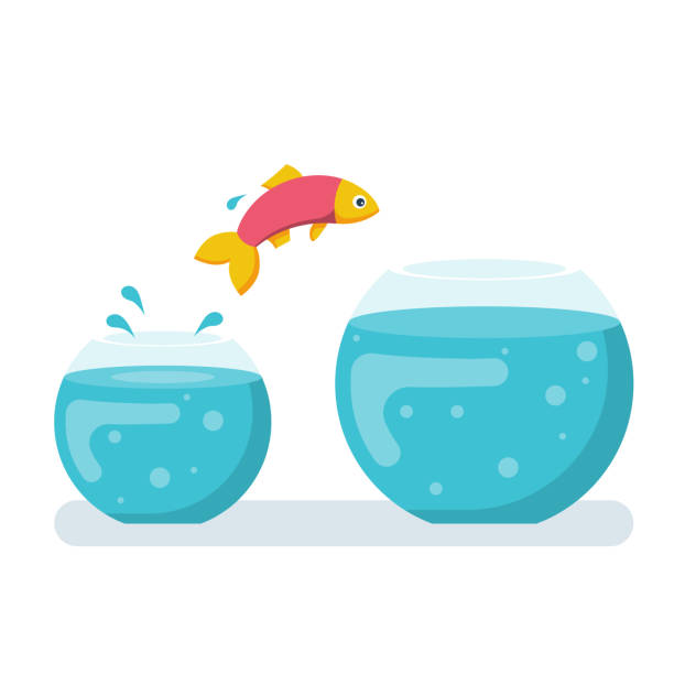 illustrations, cliparts, dessins animés et icônes de poissons potentiels sautant au fishbowl de biger - saut