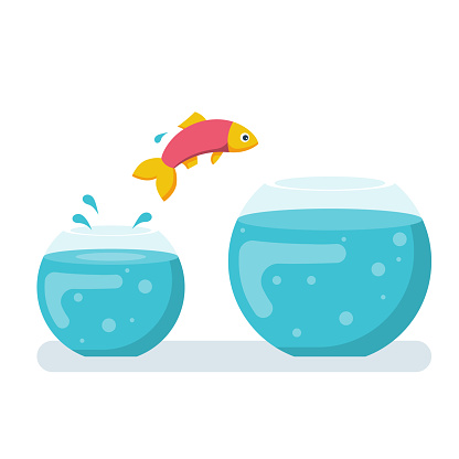 Potential fish jumping to biger fishbowl. Creative solution. Innovation way. Fish jumping out from small aquarium. Vector illustration flat design. Isolated white background. Highest level, new stage.