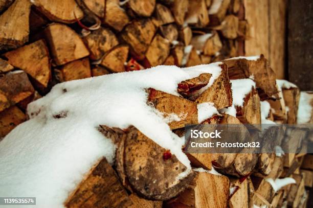 Firewood For The Winter Stock Photo - Download Image Now - Abstract, Backgrounds, Barking Animal