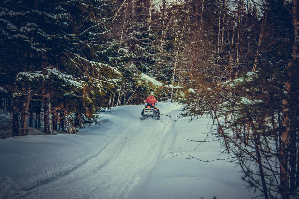 istock A young man on a snowmobile rides through the woods. 1139535579