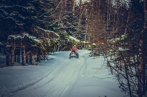 A young man on a snowmobile rides through the woods. Winter walks through the woods.