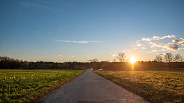 istock Road through rural area leading to forest, agricultural fields. 1139536691