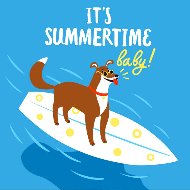 szczęśliwy pies pływanie na desce surfingowej. - swimming animal beach casual loving stock illustrations