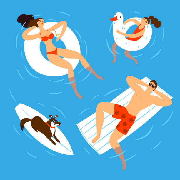 Happy family swimming in a pool. Happy family swimming in a blue water. Mother, father, child and dog. Summer time cartoon illustration for your design. dog swimsuit stock illustrations