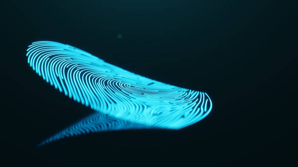 3d 일러스트레이션 지문 스캔은 생체 인식 식별을 통해 보안 액세스를 제공 합니다. 개념 지문 보호. 이진 코드와 손가락 인쇄. 디지털 보안 개념 - fingerprint thumbprint biometrics human thumb 뉴스 사진 이미지