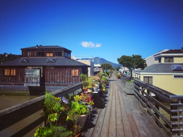 sausalito houseboats - sausalito photos et images de collection