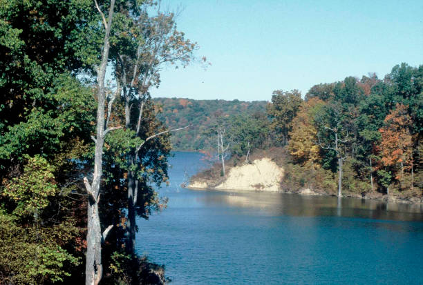 istock Autumn scene with lake and trees 1139546557