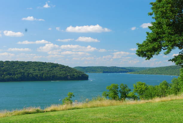 istock Tranquil lake with green trees and blue sky 1139546568