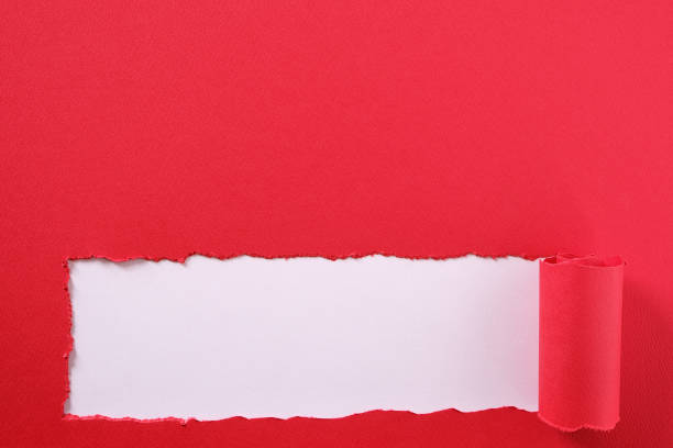 istock Torn red paper strip curled edge bottom border white background 1139547378