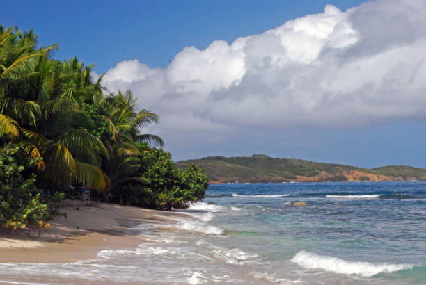 istock Private secluded beach under a bright blue sky with white clouds 1139547830