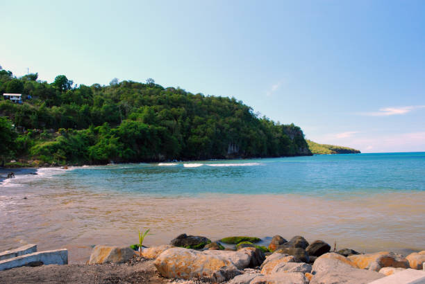 istock Waterfront with trees, blue sky, water and sand 1139547903