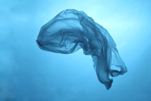 istock Plastic bag in blue water, garbage under water, plastic pollution of the oceans 1139548509