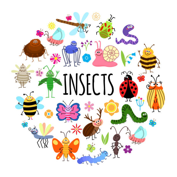 Flat Funny Insects Round Concept Flat funny insects round concept with spider worm grasshopper mosquito wasp beetles snail ant ladybug dragonfly caterpillar bee flowers isolated vector illustration spider on flower stock illustrations