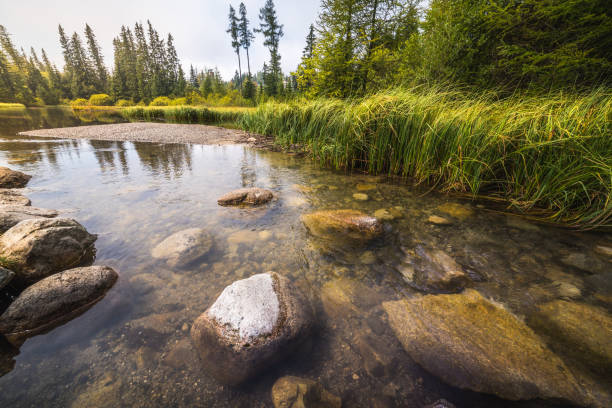 istock On the Shore of a Lake 1139549992