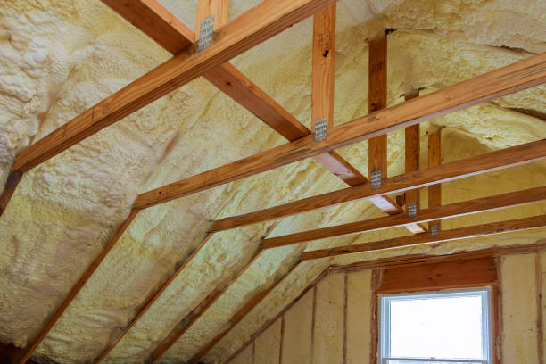 istock Insulation of attic with foam polyurea insulation cold barrier and insulation material 1139554096