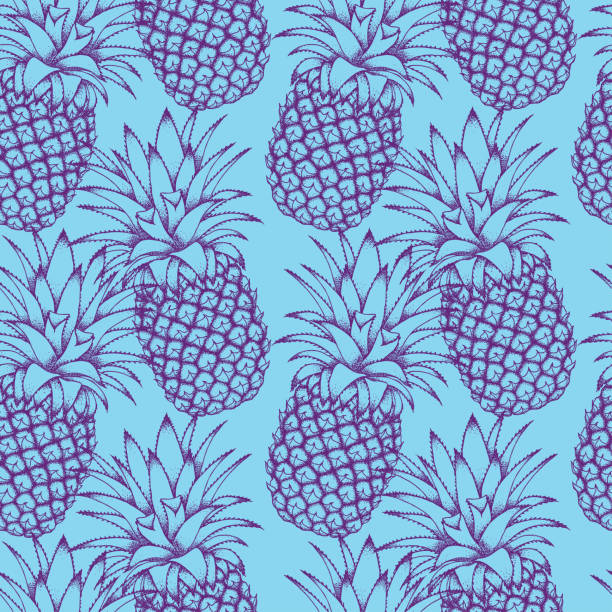 grafische skizze ananas auf türkisfarbenem hintergrund. - pineapple plantation stock-grafiken, -clipart, -cartoons und -symbole