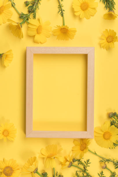istock Flowers composition. Chamomile flowers with photo frame on yellow background. Spring, summer concept. Flat lay, top view, copy space 1139562134