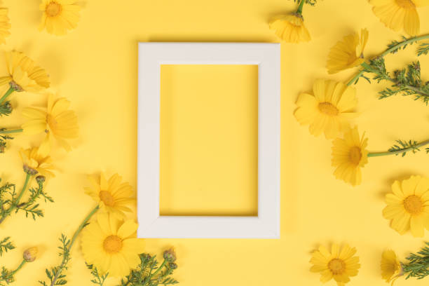 istock Flowers composition. Chamomile flowers with photo frame on yellow background. Spring, summer concept. Flat lay, top view, copy space 1139562136