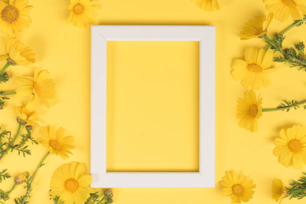 istock Flowers composition. Chamomile flowers with photo frame on yellow background. Spring, summer concept. Flat lay, top view, copy space 1139562137