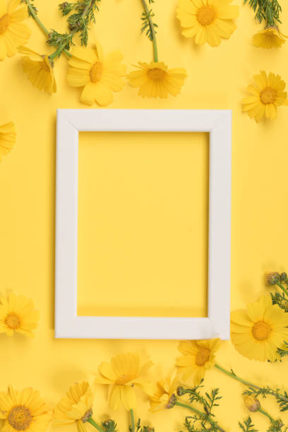 istock Flowers composition. Chamomile flowers with photo frame on yellow background. Spring, summer concept. Flat lay, top view, copy space 1139562139
