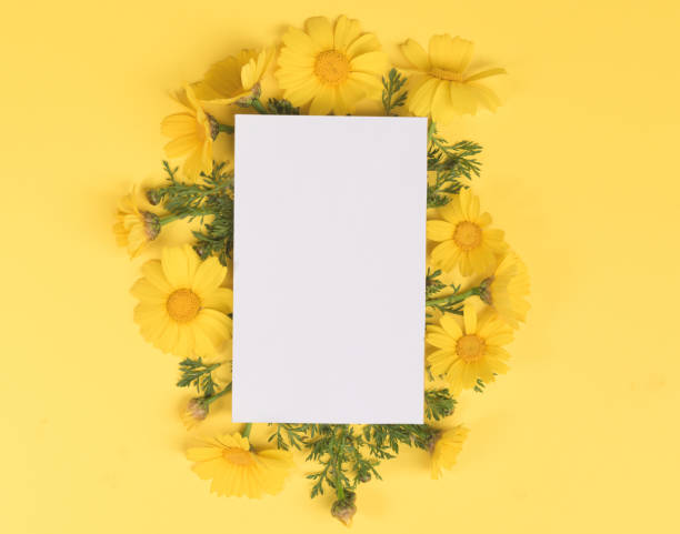 istock Flowers composition. Paper blank , chamomile flowers on yellow background. Spring, summer concept. Flat lay, top view, copy space 1139562144