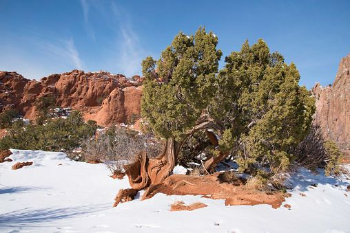 Scenic park near Pikes Peak with towering rock formations.