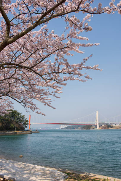 istock Namhae Bridge in Korea 1139562504