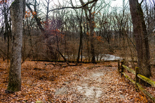 istock Fence in a Forest on a Trail during Winter at Suburban Willow Springs 1139566093