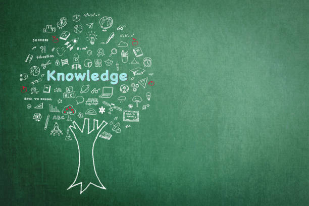 Tree of knowledge education concept on green chalkboard background with doodle Tree of knowledge education concept on green chalkboard background with doodle National Mathematics Day stock pictures, royalty-free photos & images