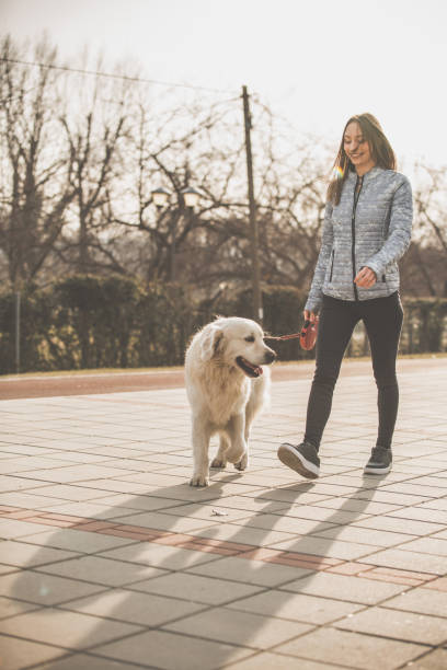 istock Young woman walking her dog on a leash 1139567435