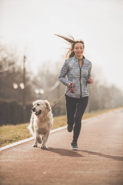 Woman and her dog training together