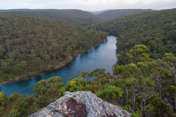 istock Aerial landscape of river and eucalyptus forest 1139567646