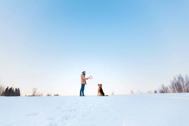 istock Man playing with big mixed breed dog in winter landscape. 1139571079